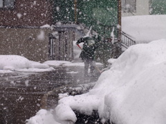 除雪～じょせつ～