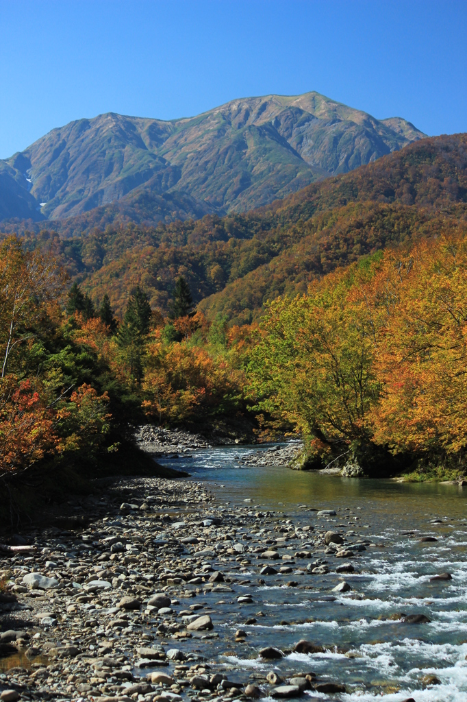 駒ケ岳を望む