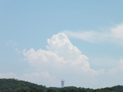 沸き立つ白
