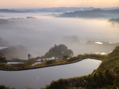 雲海