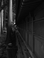 界～さかい～