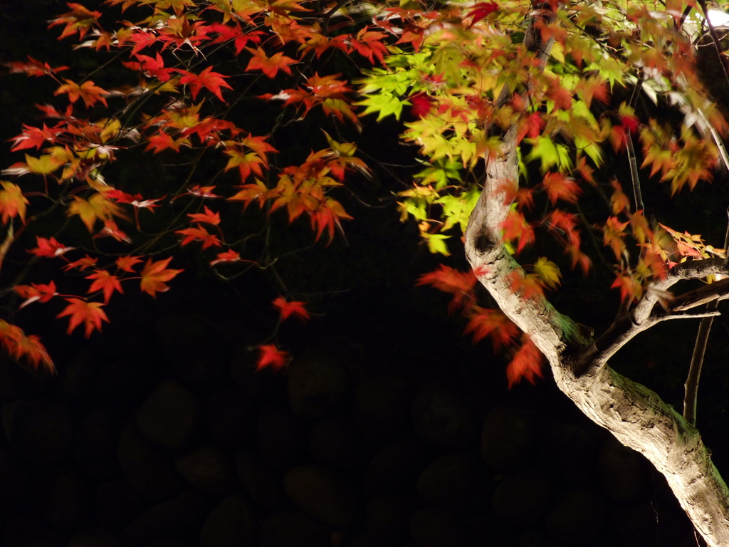 紅葉のモビール