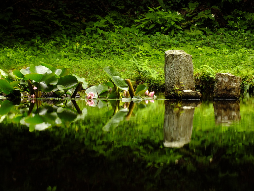 池