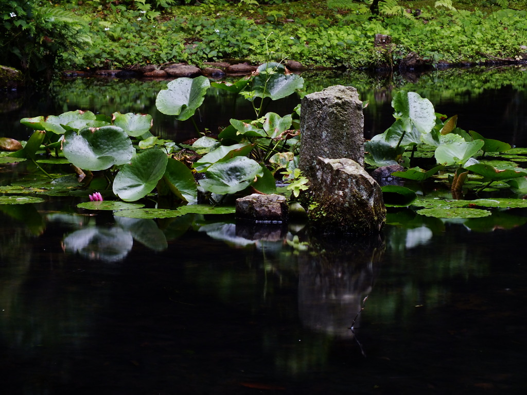 水面