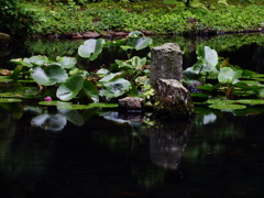 水面