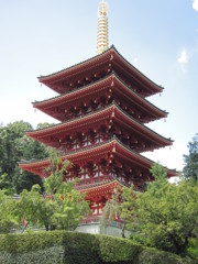 夏の五重塔