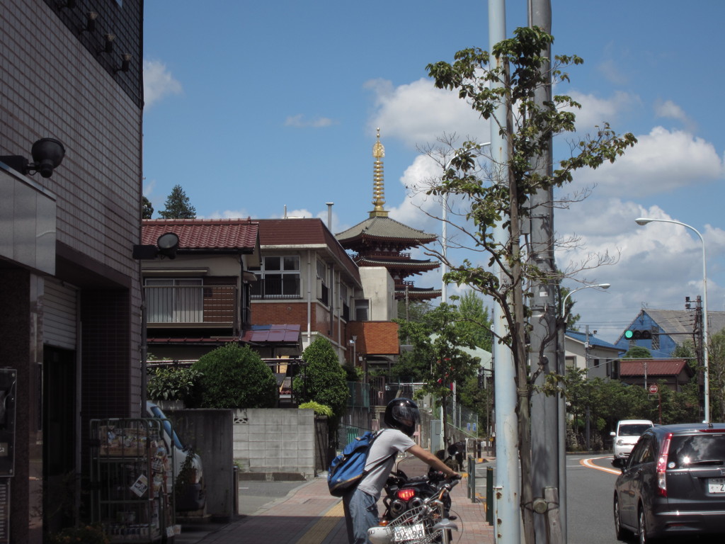 見えてきたぞー!