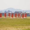 藤原宮跡に
