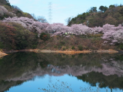 永楽ダム