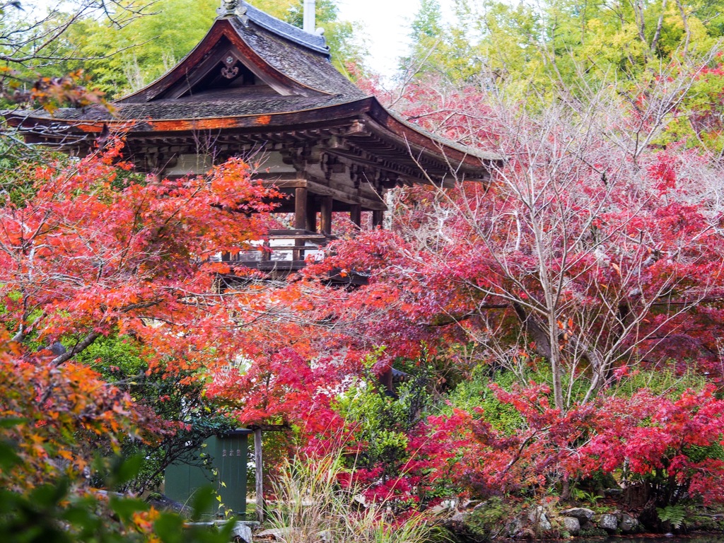 長岳寺02