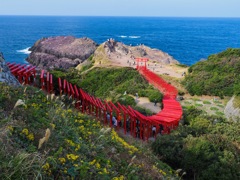 鳥居と海