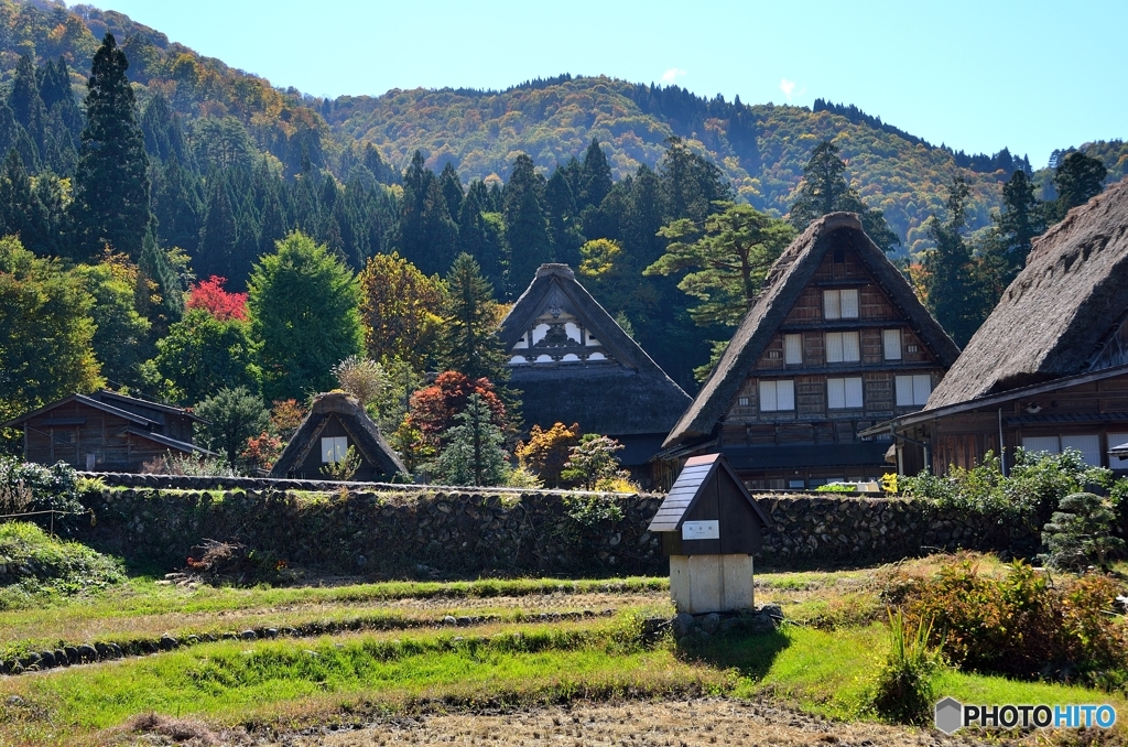 白川郷