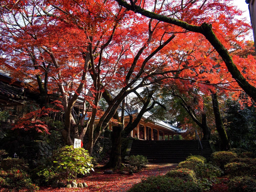 松尾寺01