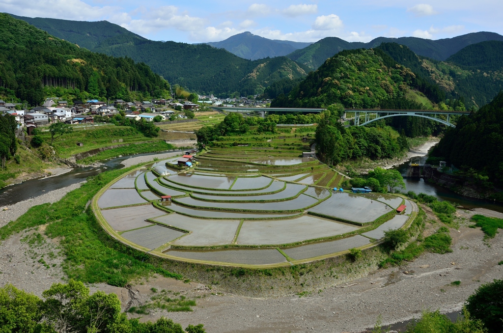 棚田の田植