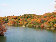 湖畔の紅葉