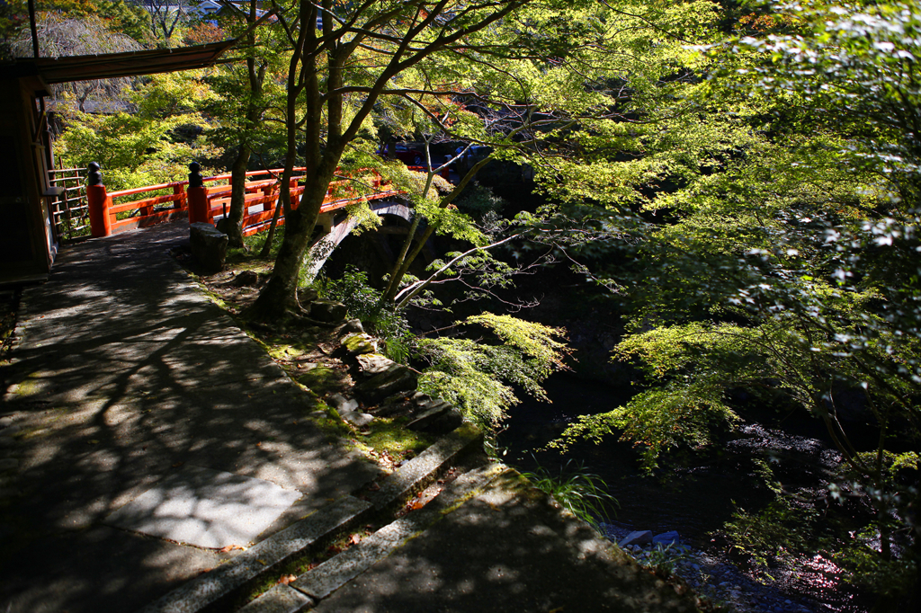 Green leaves and red bridge