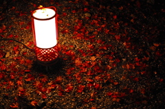 Lanterns and foliage