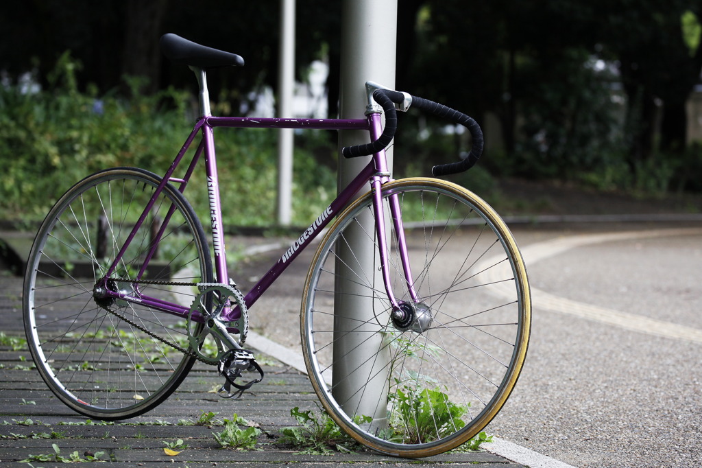 Fixed Gear