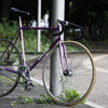 Fixed Gear