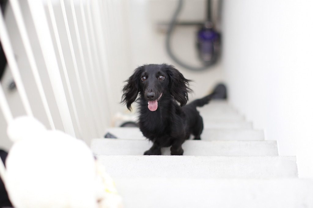 Climb stairs