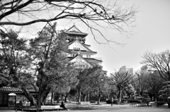 Black and White Castle