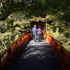 Tourist couple