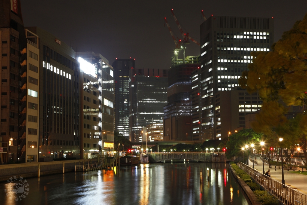 Osaka City Hall at night