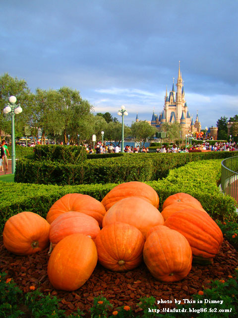 Welcome to Halloween
