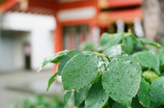 水滴