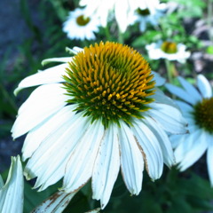 R0010138