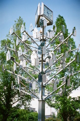 SILVER TREE