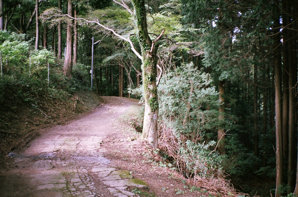 やまみち