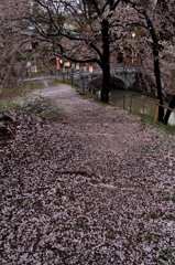IMG_0027_1