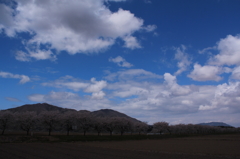 IMG_0033_1