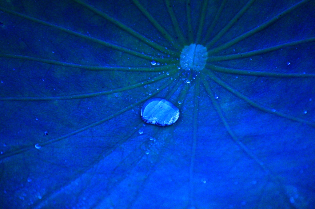 IMG_0011