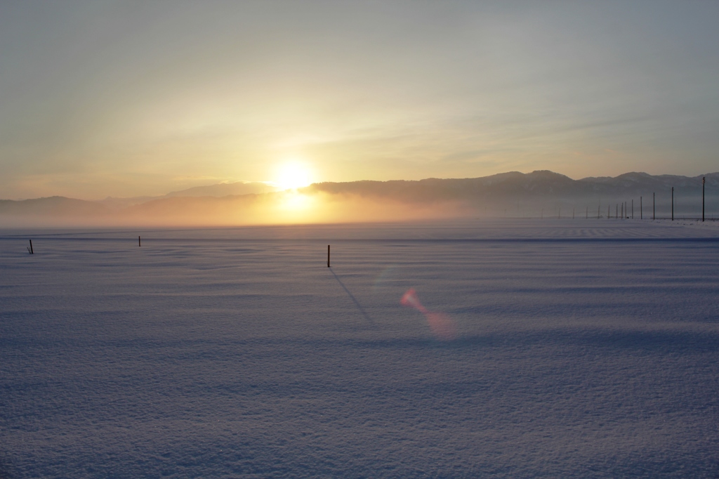 snowy field 01
