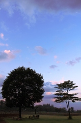 夏　早朝 4