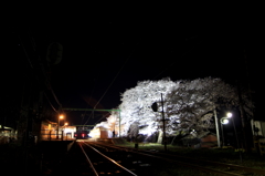 IMG_0040_1