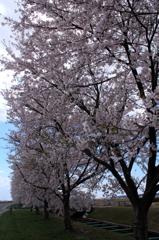 IMG_0028_1