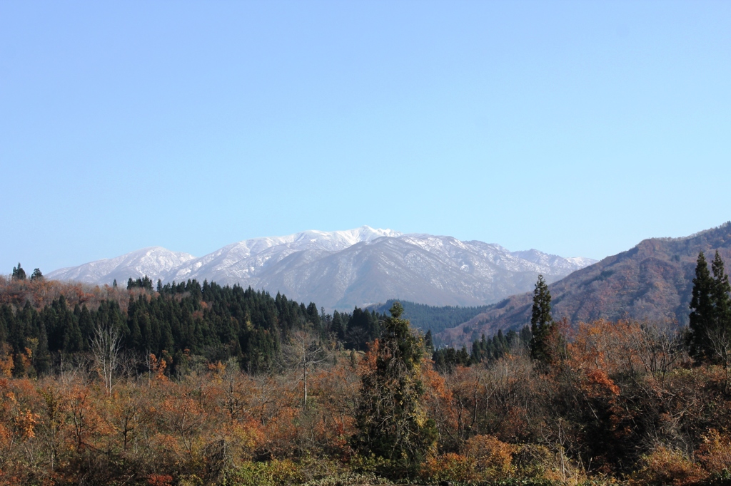 It's winter soon (11)