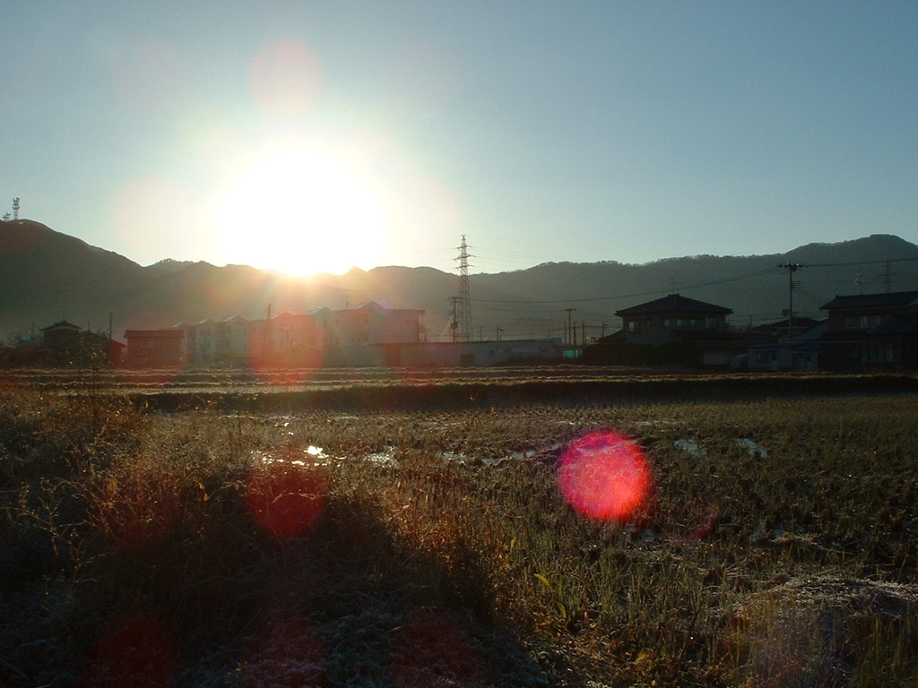 021123冬の日の朝３