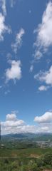 IMG_0303_stitch