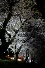 IMG_0045_1_2