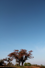 IMG_0024