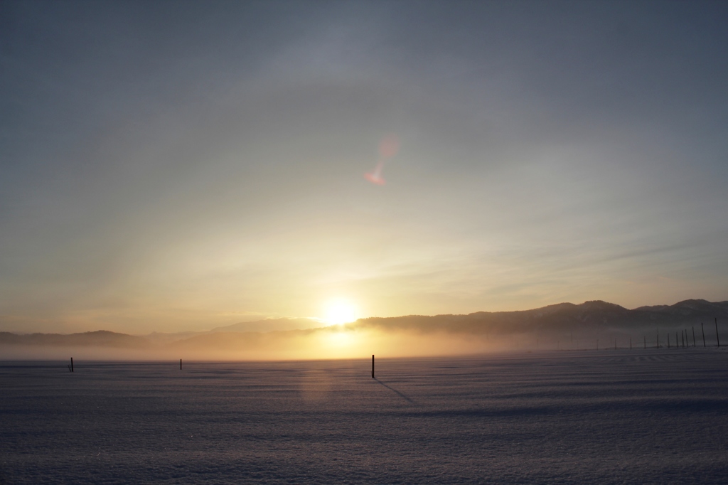 snowy field 04