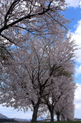 IMG_0030_1_2