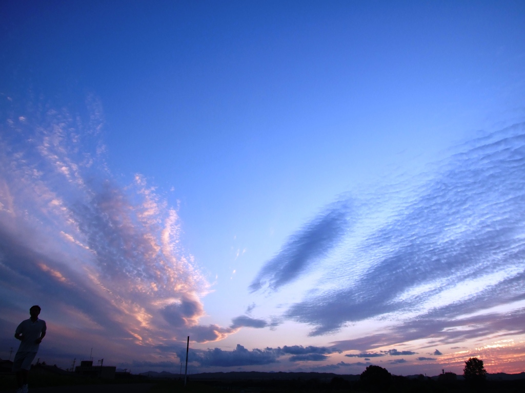 夕陽 (4)