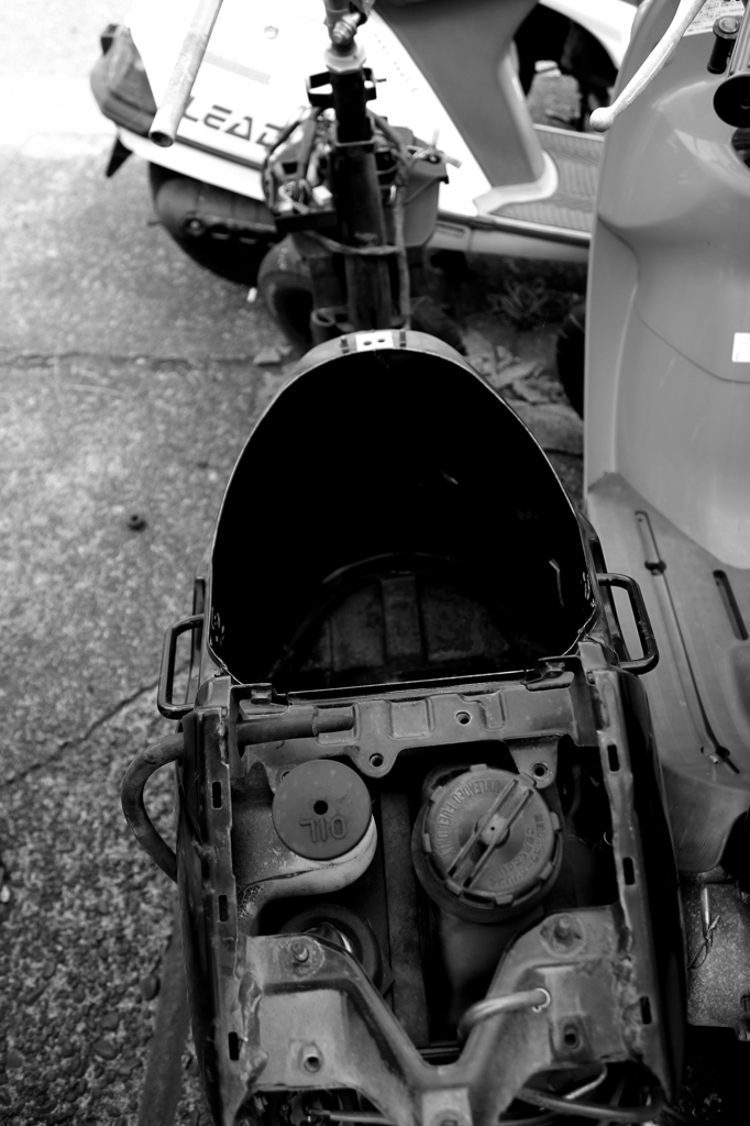IMG_0394
