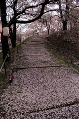 IMG_0021_1