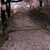 IMG_0021_1